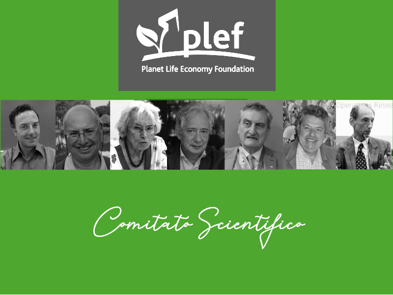 PLEF - Networking
