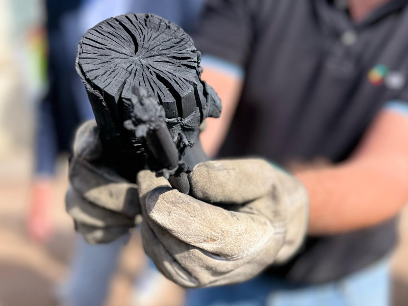 PLEF - Lotta al cambiamento climatico - A San Servolo Venezia la nuova edizione della Biochar School