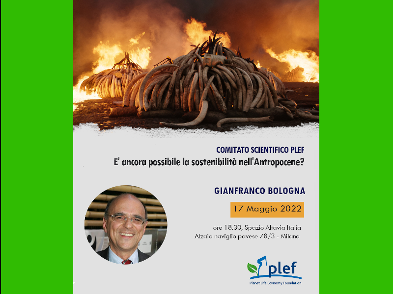 PLEF - Comitato scientifico PLEF: Ospite Gianfranco Bologna