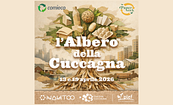 PLEF - Arti e Periferie: condividere forme d'arte nei contesti di confine